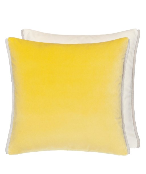 DG Varese Alchemilla &amp Parchment Velvet Cushion acheter