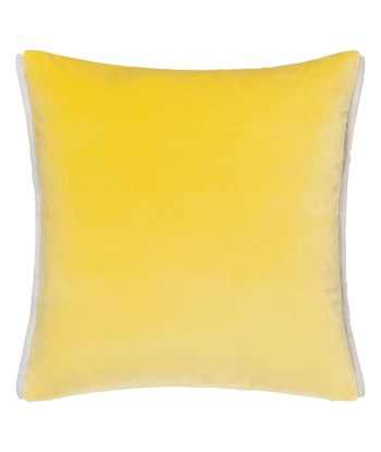 DG Varese Alchemilla &amp Parchment Velvet Cushion acheter