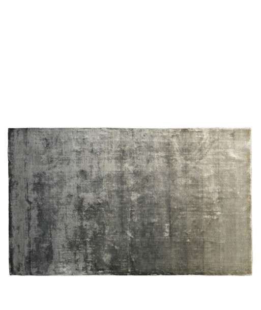 Eberson Slate Rug À commander