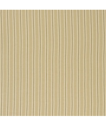 RL Hither Stripe Fabric - Dune une grave pollution 