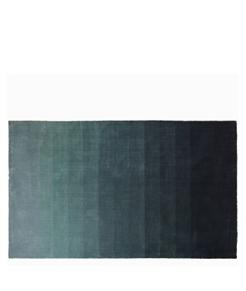 Capisoli Teal rug pour bénéficier 