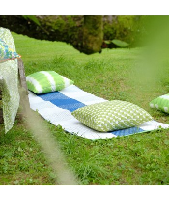 Saliya Outdoor Cobalt Runner Rug chez Cornerstreet bien 