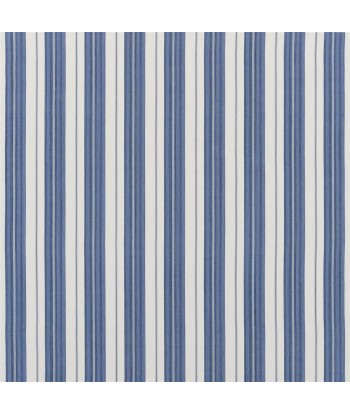 Fabric RL Joelle Ticking Blue s'inspire de l'anatomie humaine