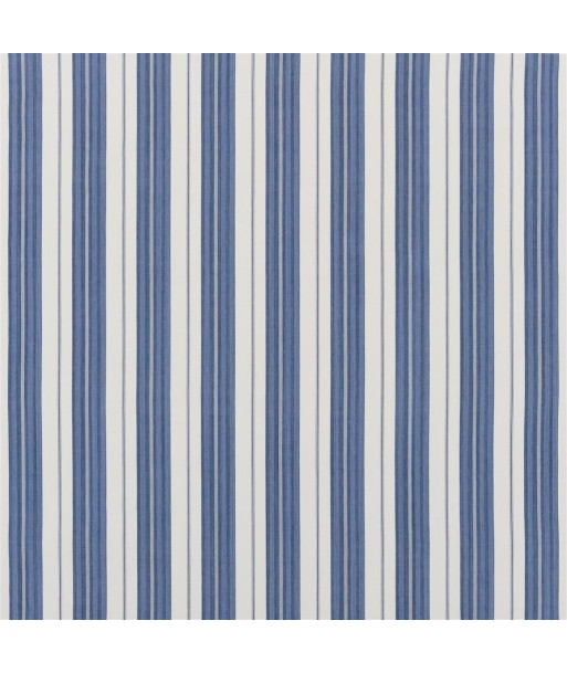 Fabric RL Joelle Ticking Blue s'inspire de l'anatomie humaine