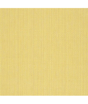 RL Jute Fabric - Primrose Venez acheter