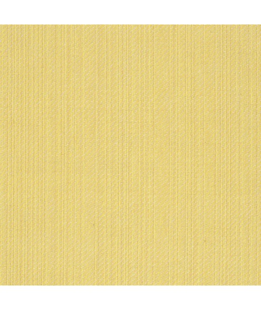 RL Jute Fabric - Primrose Venez acheter