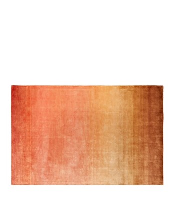 Savoie Coral Rug pas cher 