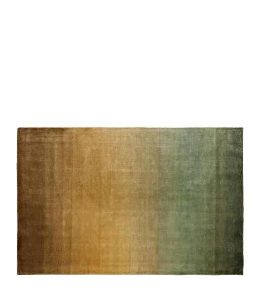 Savoie Vintage Green Rug prix