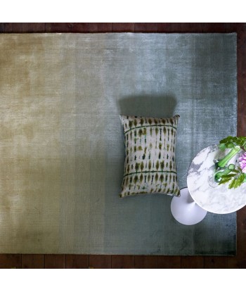 Savoie Vintage Green Rug prix