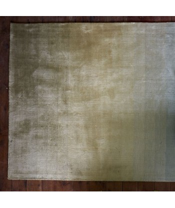 Savoie Vintage Green Rug prix