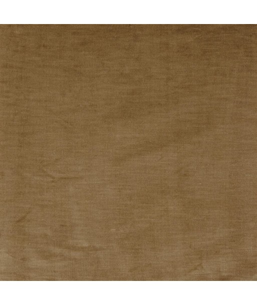 Fabric RL Linen Velvet Camel en stock