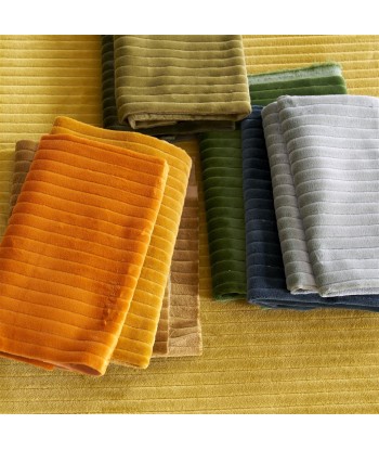 Cassia Cord Fir Fabric offre 