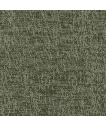 Cavazzo Moss Fabric Le MVP de beaucoup