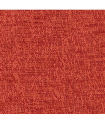 Cavazzo Pimento fabric les ligaments