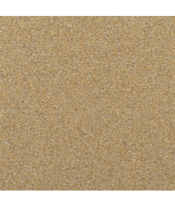 Kinmel Shore Lichen Fabric Comparez plus de prix