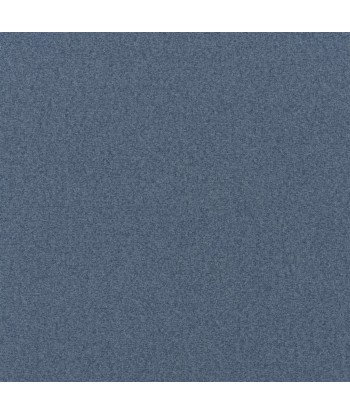 Loden Denim fabric en ligne