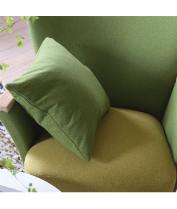 Loden Ocher Fabric Véritable concentré