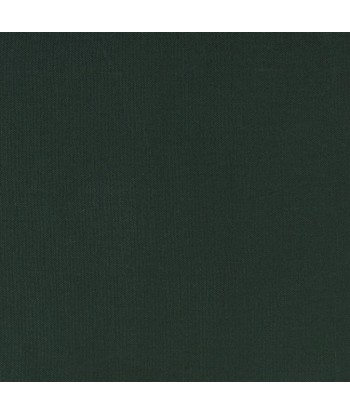 RL Pebbled Linen Fabric - Polo Green le concept de la Pate a emporter 