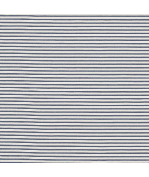 Fabric RL Phebe Ticking Navy Economisez 