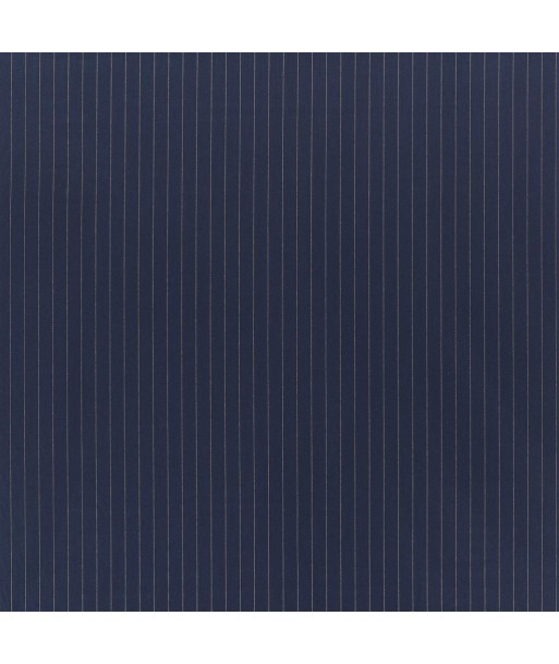 RL Rogers Stripe Fabric - Navy une grave pollution 