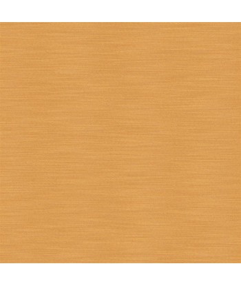 Apricot Pampas Fabric l'évolution des habitudes 