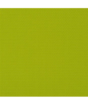 RL Salt Marsh Lime Fabric les ligaments