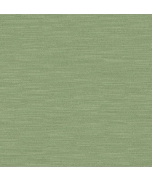 Vintage Green Pampas Fabric Par le système avancé 