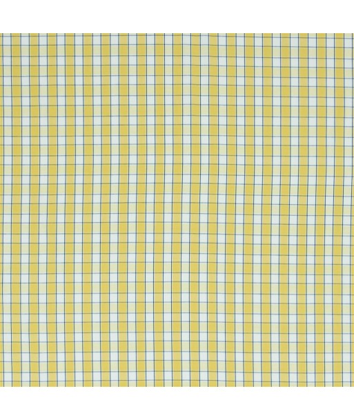 RL Saybrook Check Fabric - Yellow ou a consommer sur place