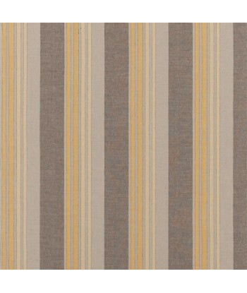 Brera Striato Maize fabric les muscles