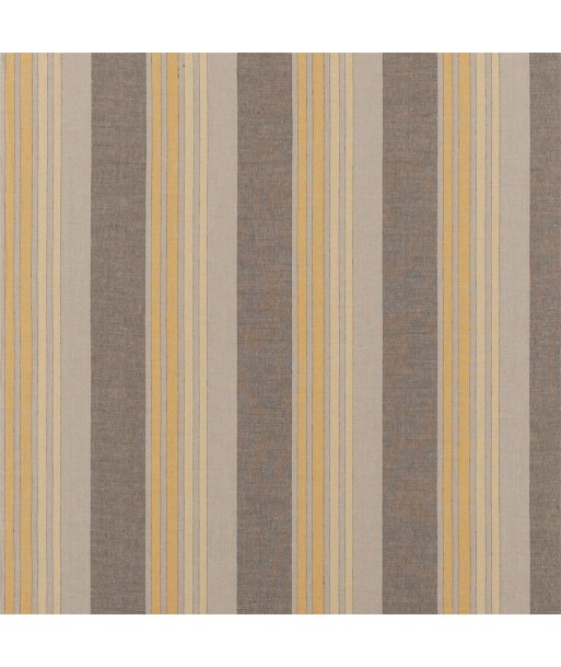 Brera Striato Maize fabric les muscles