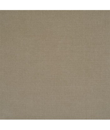 RL St Antoine Velvet fabric - Ash outlet