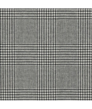 Fabric RL Wessex Glen Plaid Black/white Dans la société mordern