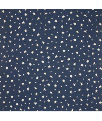 RL Willa Star Jacquard fabric - Blue pas cheres