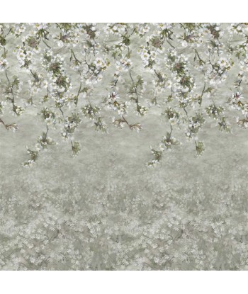 Assam Blossom Platinum Wallpaper online