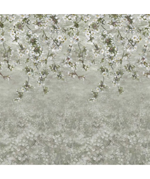 Assam Blossom Platinum Wallpaper online