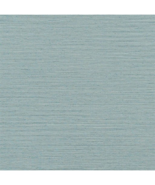 Brera Grasscloth Duck Egg Wallpaper pas cheres