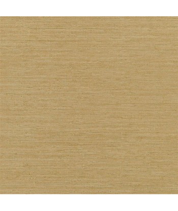 Brera Grasscloth Gold Wallpaper Amélioration de cerveau avec