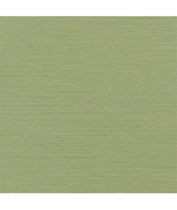 Brera Grasscloth Peridot Wallpaper Economisez 