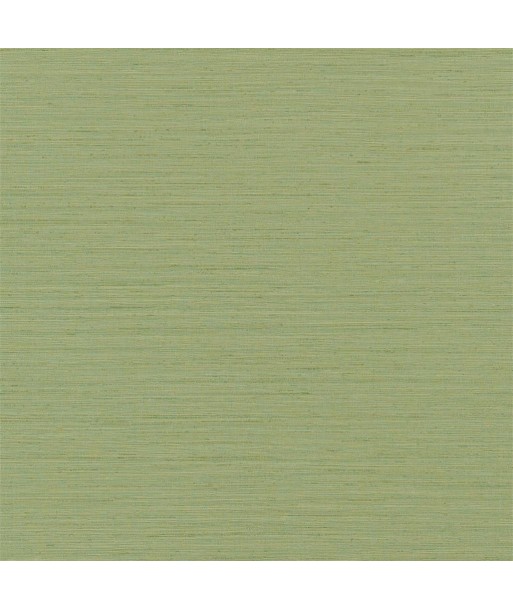 Brera Grasscloth Peridot Wallpaper Economisez 