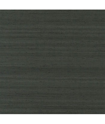 Chinon Gunmetal Wallpaper paiement sécurisé