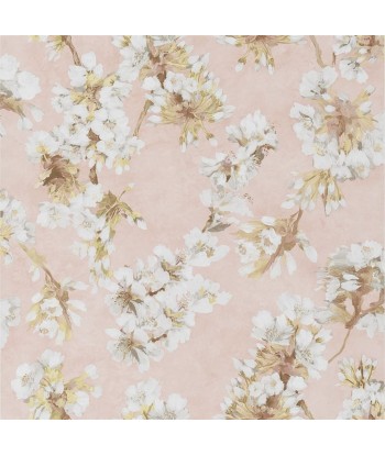 Assam Cameo Flower Wallpaper en ligne des produits 