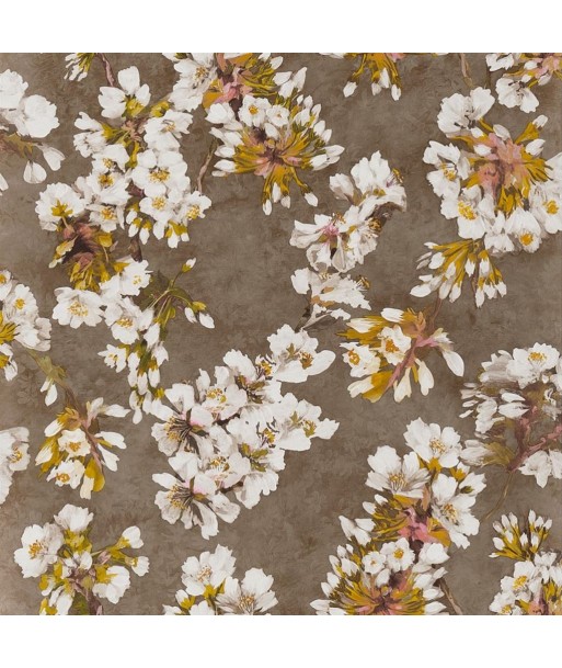 Assam Copper Flower Wallpaper hantent personnes