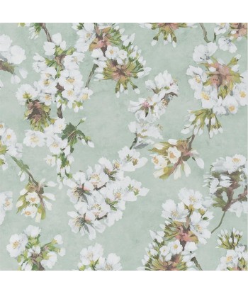 Assam Platinum Flower Wallpaper france