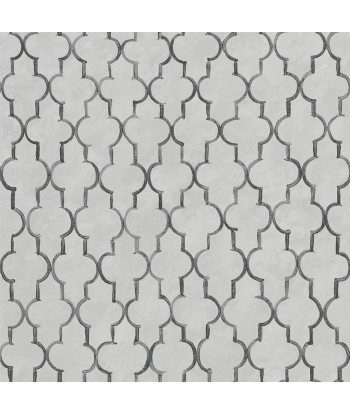 Pergola Trellis Graphite Wallpaper Véritable concentré