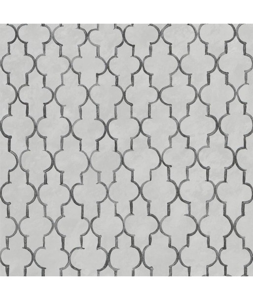 Pergola Trellis Graphite Wallpaper Véritable concentré