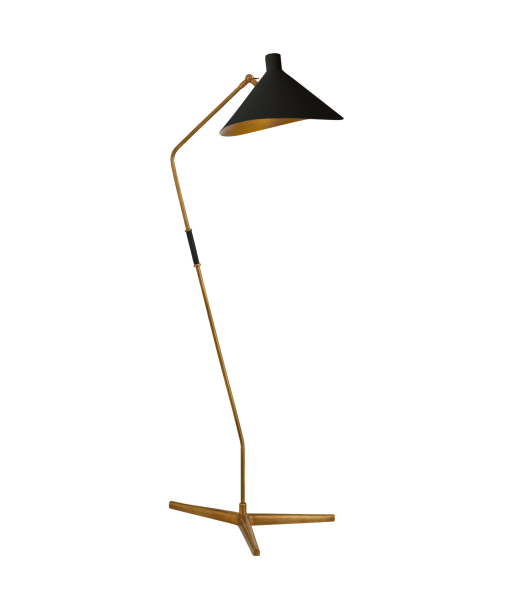 Mayotte Floor Lamp Black Brass Par le système avancé 