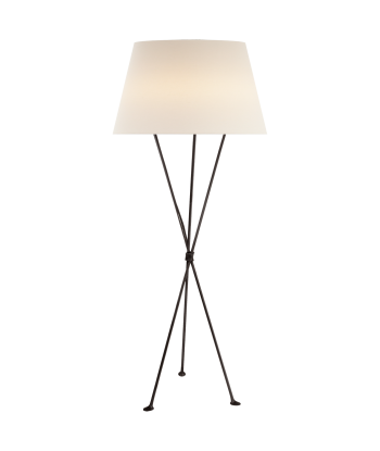 Lebon Aged Iron Floor Lamp Economisez 