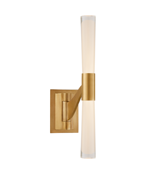 Brenta Single Articulated Brass Wall Lamp s'inspire de l'anatomie humaine