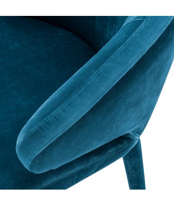 Cardinale Dining Room Chair in Teal Blue Rock Velvet Toutes les collections ici