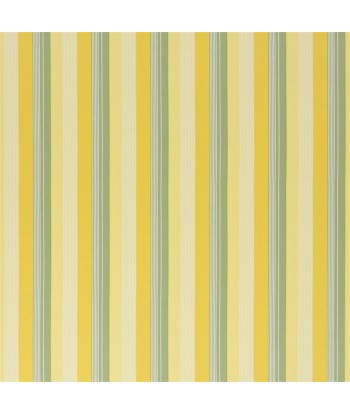 RL Greenport Stripe Fabric - Yellow/green s'inspire de l'anatomie humaine